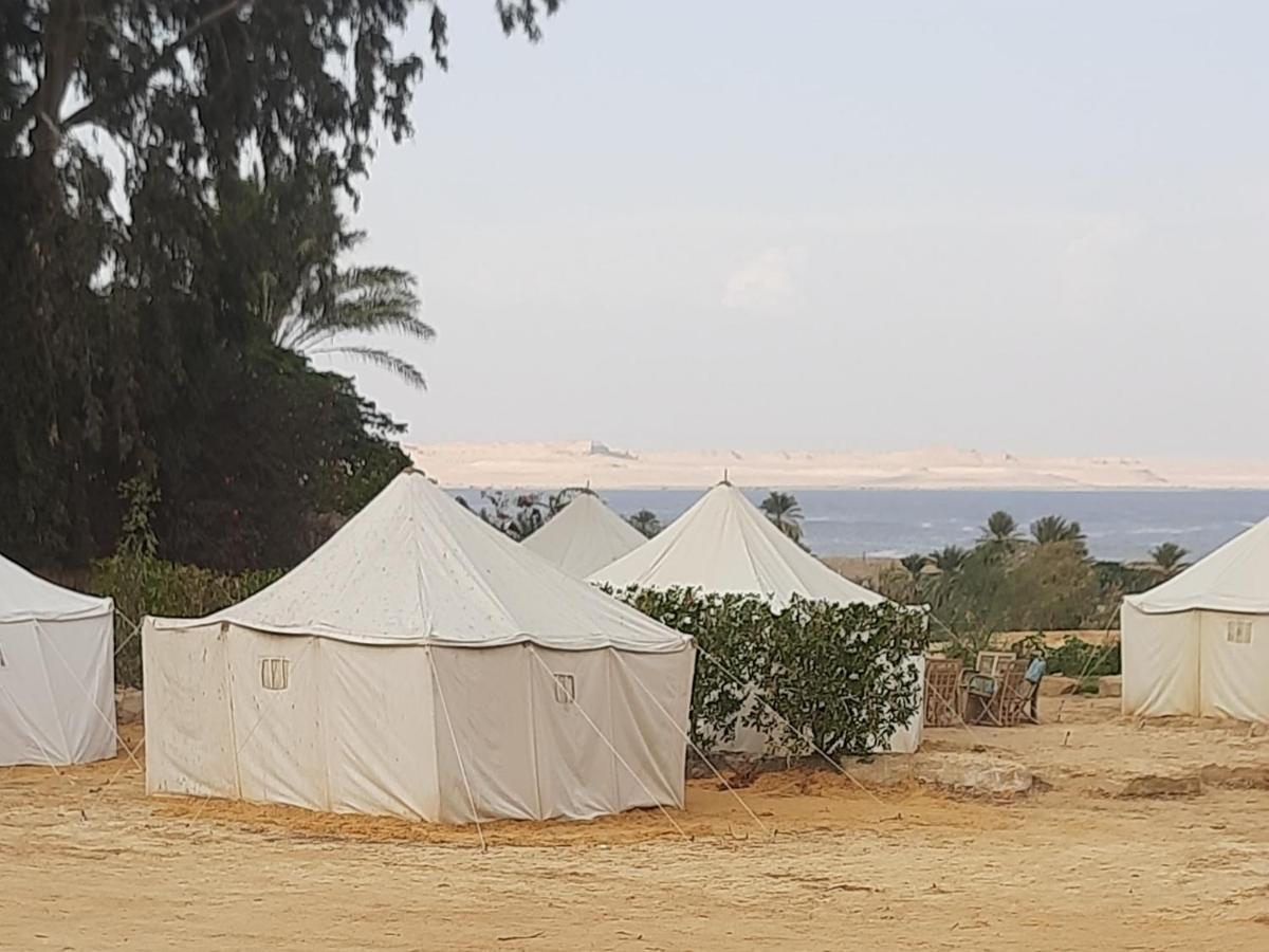 Tunis Camp Al Fayyūm Zimmer foto